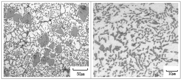 0.075%Sr, 0.1% AlCuP 첨가된 과공정합금의 미세조직 변화