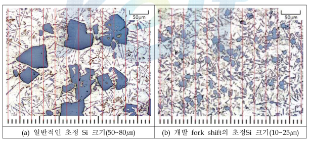 Fork shift 초정Si 크기 비교