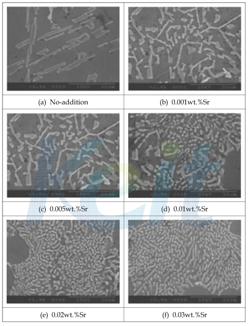 Sr 첨가에 따른 Al-Si 합금의 FE-SEM 미세조직 사진