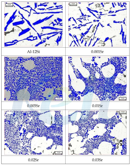 Sr 첨가량 변화에 따른 공정 미세조직 변화