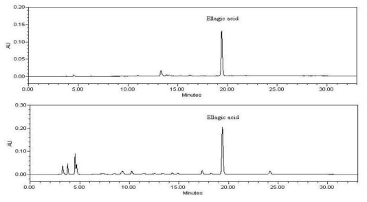 도토리 추출분말 중의 HPLC 크로마토그램