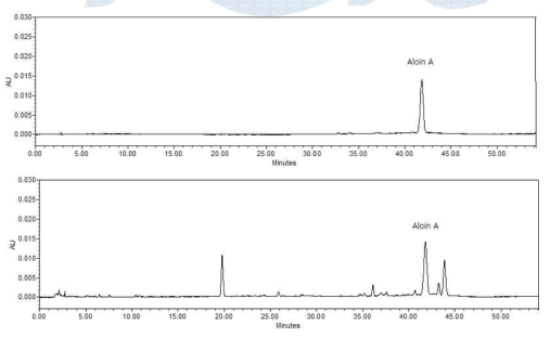 알로에 추출분말 중의 Aloin A의 HPLC 크로마토그램