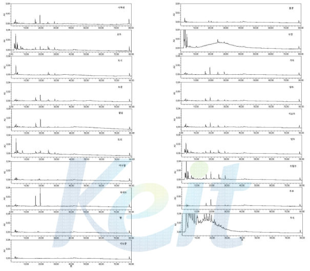 콩 포제품의 HPLC 성분 패턴분석 크로마토그램