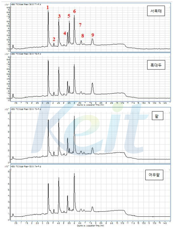 콩 포제품 (서목태, 흑대두, 팥, 여우팥) 의 TIC Chromatogram