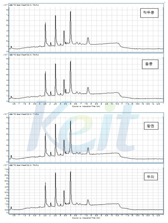 콩 포제품 (작두콩, 돌콩, 황권, 두의) 의 TIC Chromatogram