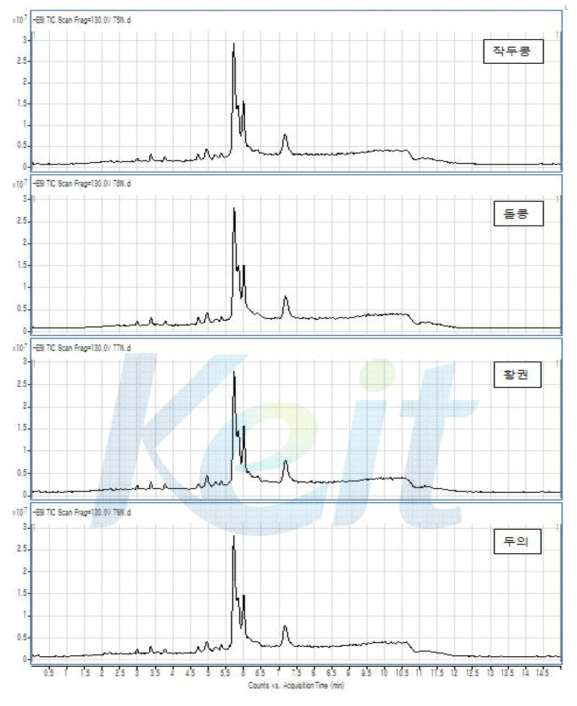 콩 포제품 (작두콩, 돌콩, 황권, 두의) 의 TIC Chromatogram