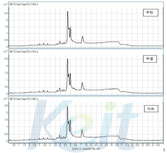 콩 포제품 (두탄, 두증, 자두) 의 TIC Chromatogram