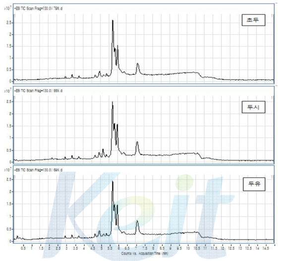 콩 포제품 (초두, 두시, 두유) 의 TIC Chromatogram
