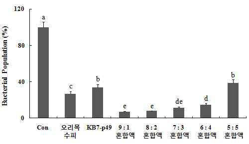 L. plantarum KB7-p49와 오리목 수피의 혼합 비율에 따른 항치아우식 활성의 변화