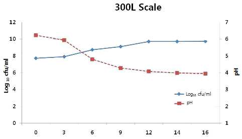 300L Pilot Plant Scale에서의 발효 효율