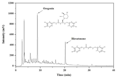 오리목 수피 추출물의 HPLC chromatogram (UV wavelength: 280 nm)