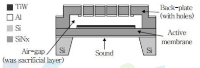 MEMS Transducer의 기본 구조