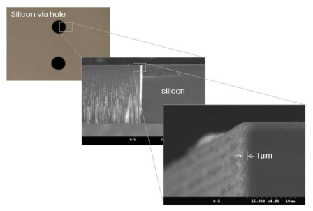 실리콘 Via Hole 기판의 현미경 사진 및 확대된 SEM 사진