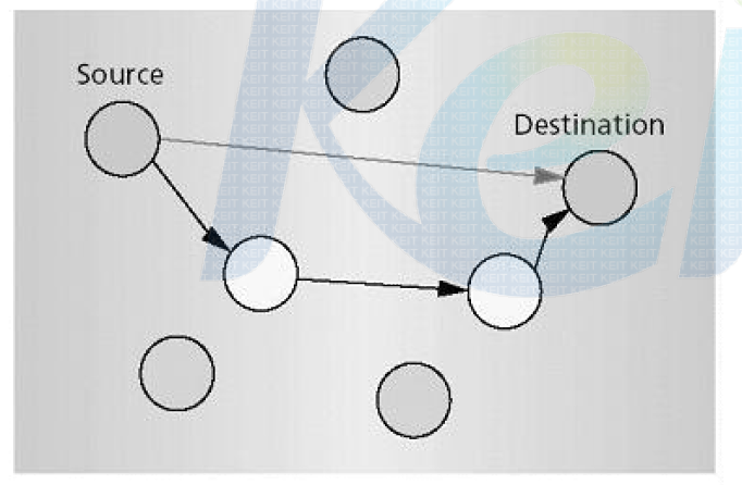 다중도약(Multihop) 네트웍
