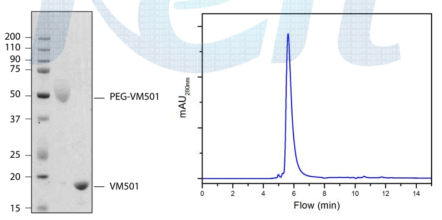 최종 산물인 PEG-VM501