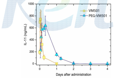 VM501 및 PEG-VM501 시간대비 혈중 농도