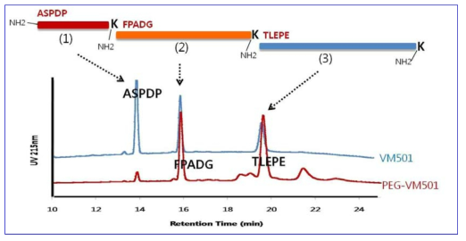 Lys-C 를 이용한 peptide mapping