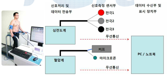 전문가용 운동 중 심혈관 데이터 분석 시스템 기본 개념도