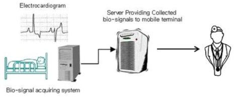 개인 휴대용 심혈관 데이터 모니터링 시스템 기본 개념도