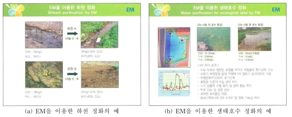 전주대학교 유용미생물 연구단 자료