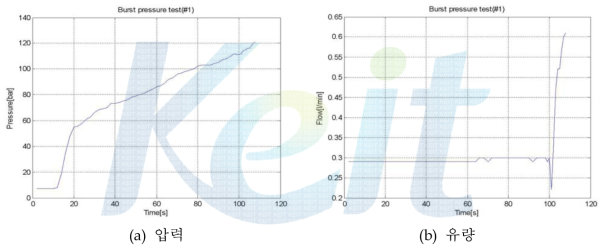 파열 압력 시험 결과(sample 1)