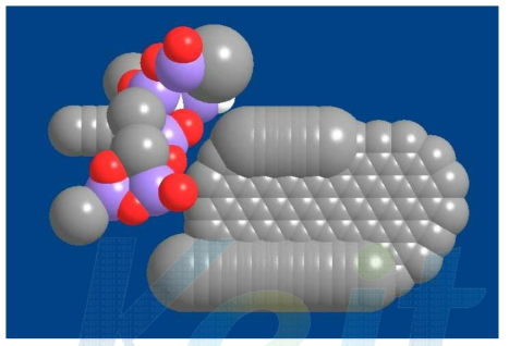 초고분자 분자량 공중합 기능성 코팅제 분자 설계 모식도