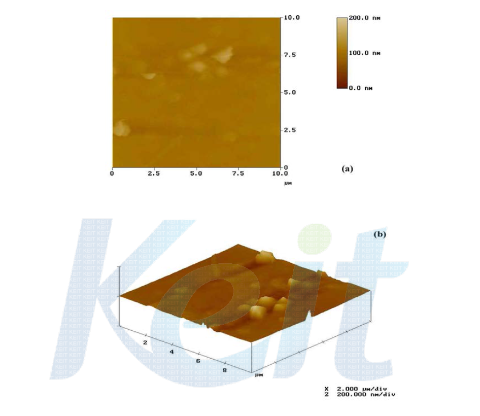 플라즈마 처리 후 가공된 Cotten’60의 표면 상태를 SPM(Scanning Probe Microscopy)으로 측정한 결과이다