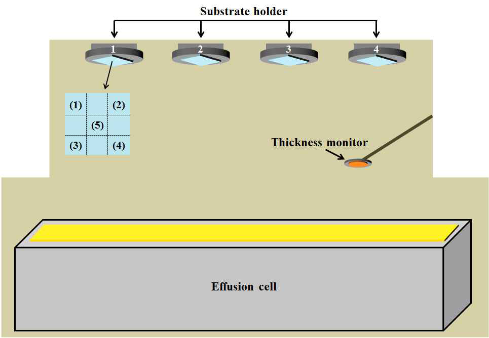 5.5세대(1,200mm×1,500mm) 선형 Effusion Cell을 이용한 유기 증발원 증착 실험 개략도