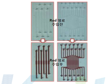 연구용 유전자 증폭 미세유로 PDMS 칩, Red 염료 주입 전과 후 결과