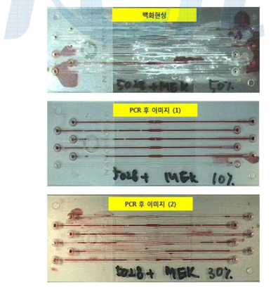 UV 접합 방법에서 발생된 유전자 증폭 미세유로 칩의 문제점