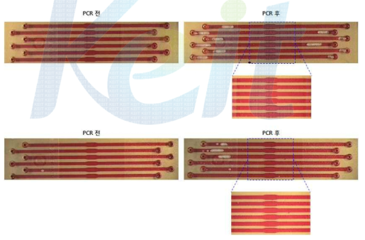 6채널 유전자 증폭 미세유로 칩 유전자 증폭 (PCR) 전과 후의 누수 및 기포 발생 결과