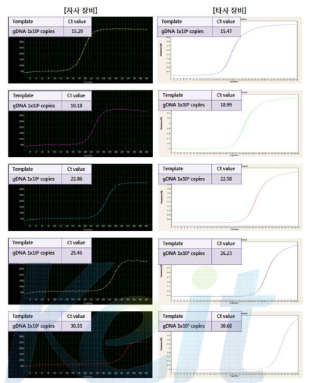 Shigella의 농도별 Real-time PCR의 성능 비교