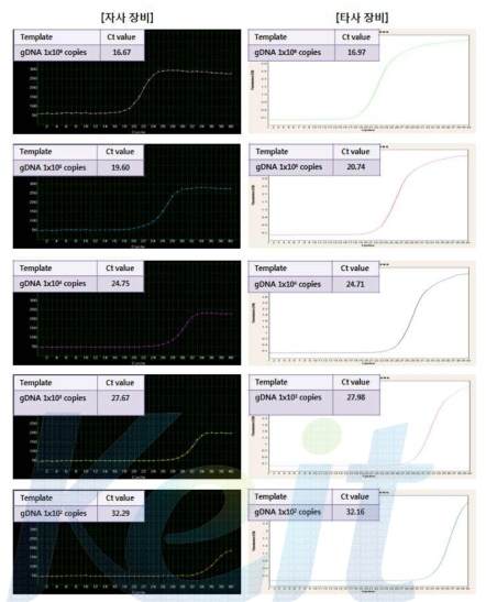 Bacillus cereus 농도별 Real-time PCR의 성능 비교