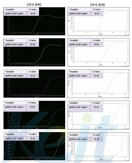 Vibrio phrahaemolyticus 농도별 Real-time PCR의 성능 비교