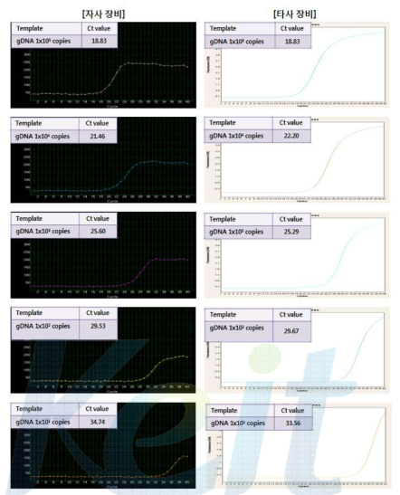 E.coli O157:H7 농도별 Real-time PCR의 성능 비교