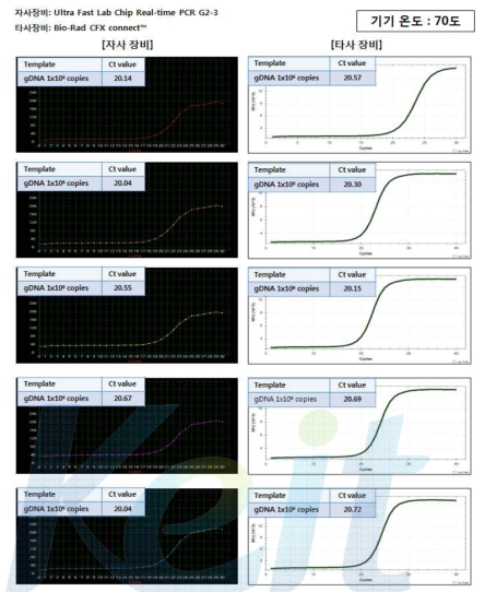 Vibrio phrahaemolyticus 온도별 (70℃) Real-time PCR 성능 비교