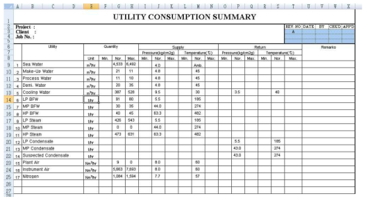 User Excel Report