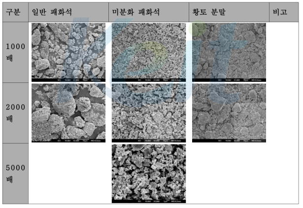 FE-SEM : 패화석-일반, 패화석-미분, 황토분말