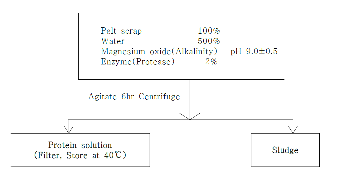 Pelt scrap 으로부터 Protein hydrolyzate의 제조 방법(예시)