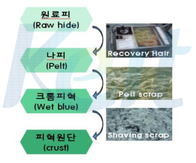 실험에 사용된 피혁 공정 부산물