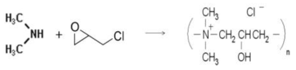 폴리아민계 고분자의 합성 mechanism