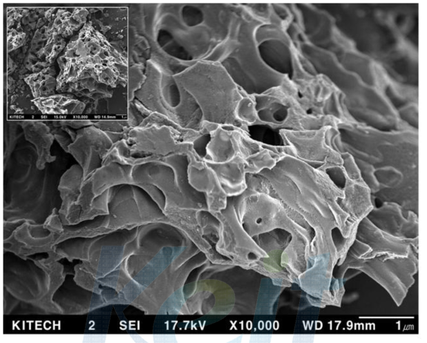 스팀공정을 통해 생산된 활성탄 SEM 사진