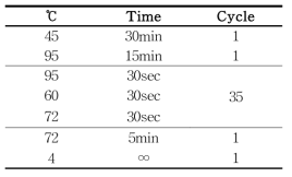 One step RT-PCR 조건