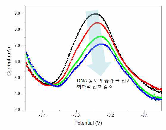 DNA와의 반응에 따른 methylene blue의 전기화학적 검출신호의 감소