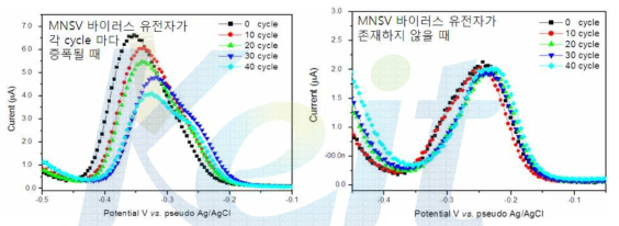 MNSV 바이러스 유전자가 존재하여 PCR 수행중 각 cycle 마다 증폭는 경우의 전기화학적 신호(좌)와 MNSV 바이러스 유전자가 존재하지 않을 때 전기화학적 신호(우)