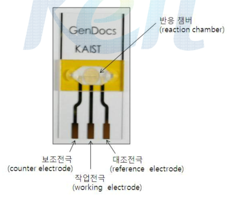 개발된 시작품 진단칩 완제품