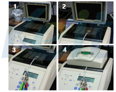 시작품 진단 칩을 이용한 PCR 수행 과정