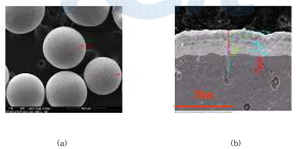 더미볼에 대한 SEM 사진 : (a) 실제 모양, (b) 도금층