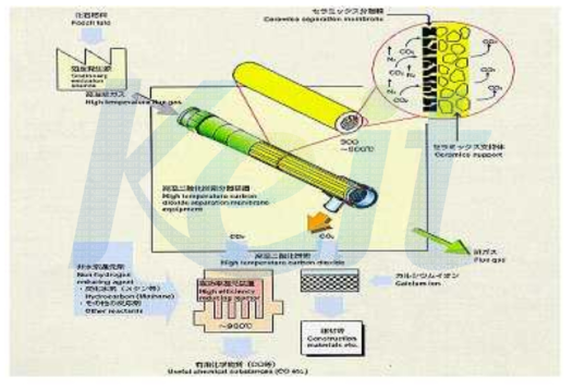 Schematic diagram of membrane