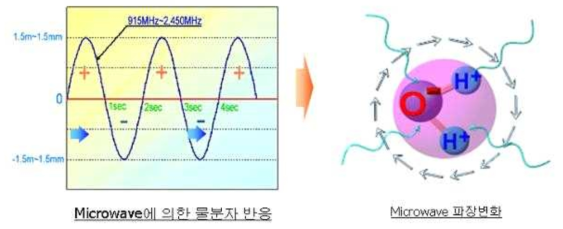 마이크로파에 의한 물분자 반응